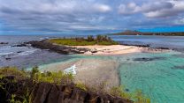 Galápagos, arco degli innamorati e Boulders Beach: i luoghi e i viaggi che ci hanno fatto sognare questo mese
