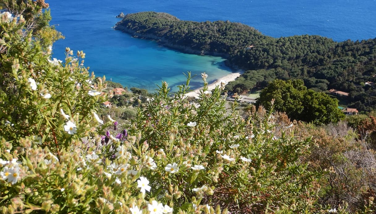 La via dei cisti, tratto Fetovaia Seccheto