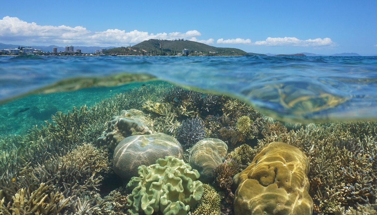 La barriera corallina di Noum&eacute;a