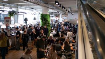 Dal cioccolato ai supplì, dai Carnevali alle sagre, gli eventi del weekend del 13, 14, 15 febbraio 2026