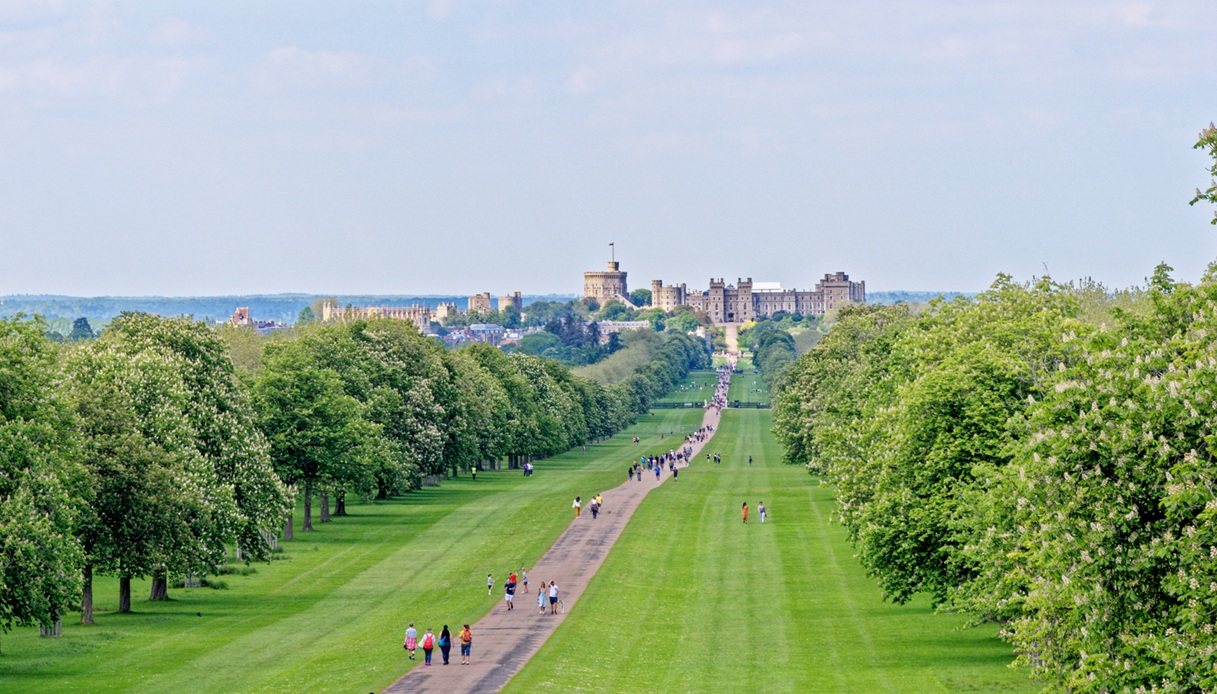 Il bellissimo Windsor Great Park