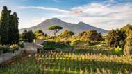 La vigna segreta di Pompei torna alla luce: il nuovo viaggio tra storia e sapori