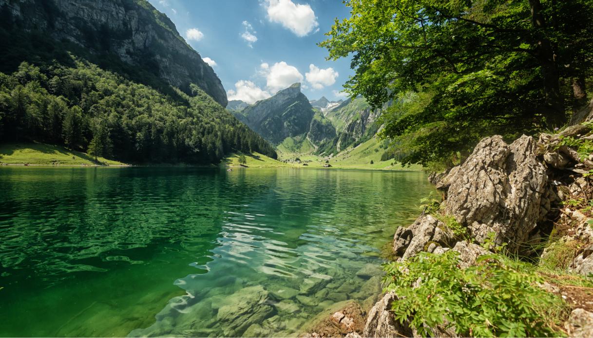 Seealpsee, lago puro