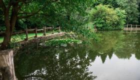 Il Bosco delle Querce di Seveso conquista il Marchio del Patrimonio Europeo 2025