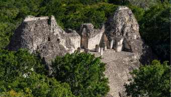 Calakmul, il regno nascosto del Messico tra giungla infinita e pietra millenaria