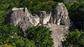 Calakmul, il regno nascosto del Messico tra giungla infinita e pietra millenaria