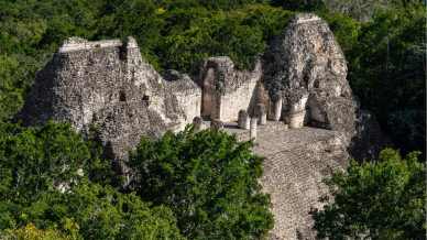 Calakmul, il regno nascosto del Messico tra giungla infinita e pietra millenaria