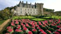 Viaggio tra i ricami vegetali della Loira: il Castello di Villandry, vero capolavoro rinascimentale