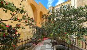 A Boboli ha riaperto il suggestivo giardino “segreto” delle camelie