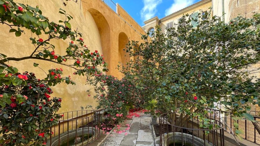 A Boboli ha riaperto il suggestivo giardino “segreto” delle camelie