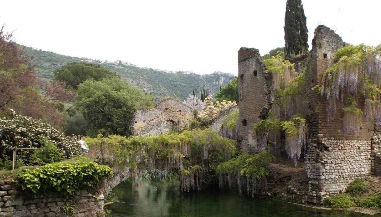 Il rudere e il glicine nel Giardino di Ninfa
