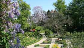 Ad Amsterdam, per pochi giorni aprono i giardini segreti della città