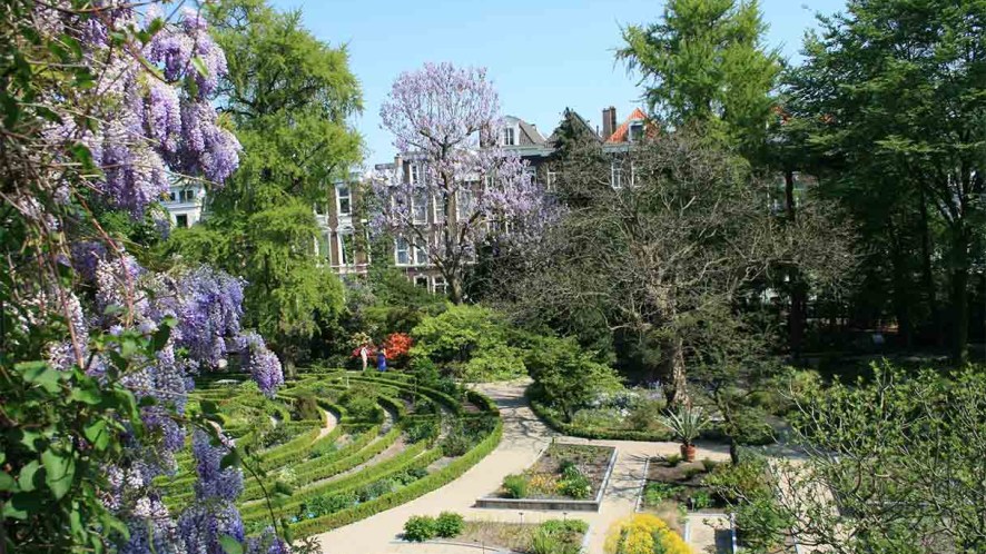 Ad Amsterdam, per pochi giorni aprono i giardini segreti della città