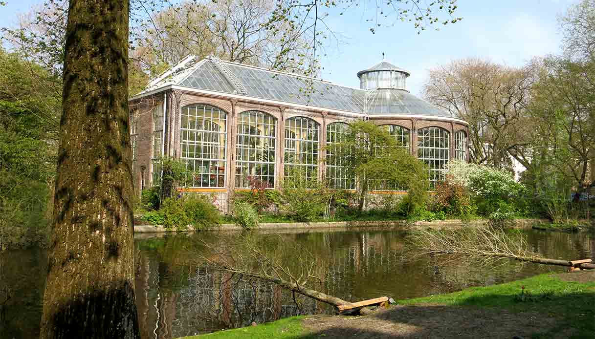 Hortus Botanicus di Amsterdam