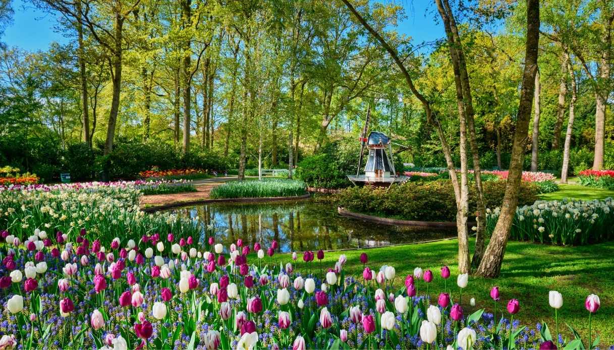 Keukenhof il parco fiorito dei Paesi Bassi