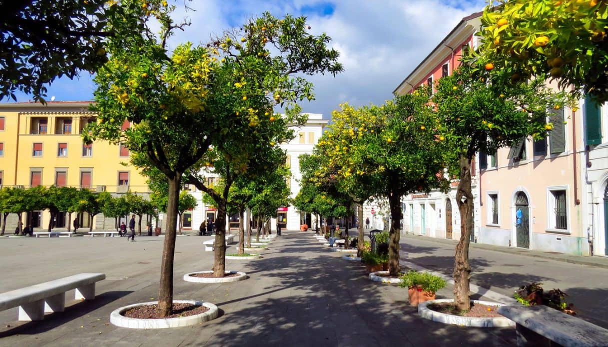 Piazza Aranci a Massa con le caratteristiche file di alberi di arancio
