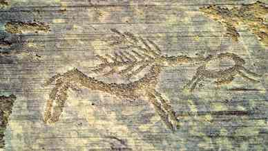 Valle Camonica, esperienza immersiva nel primo Sito UNESCO