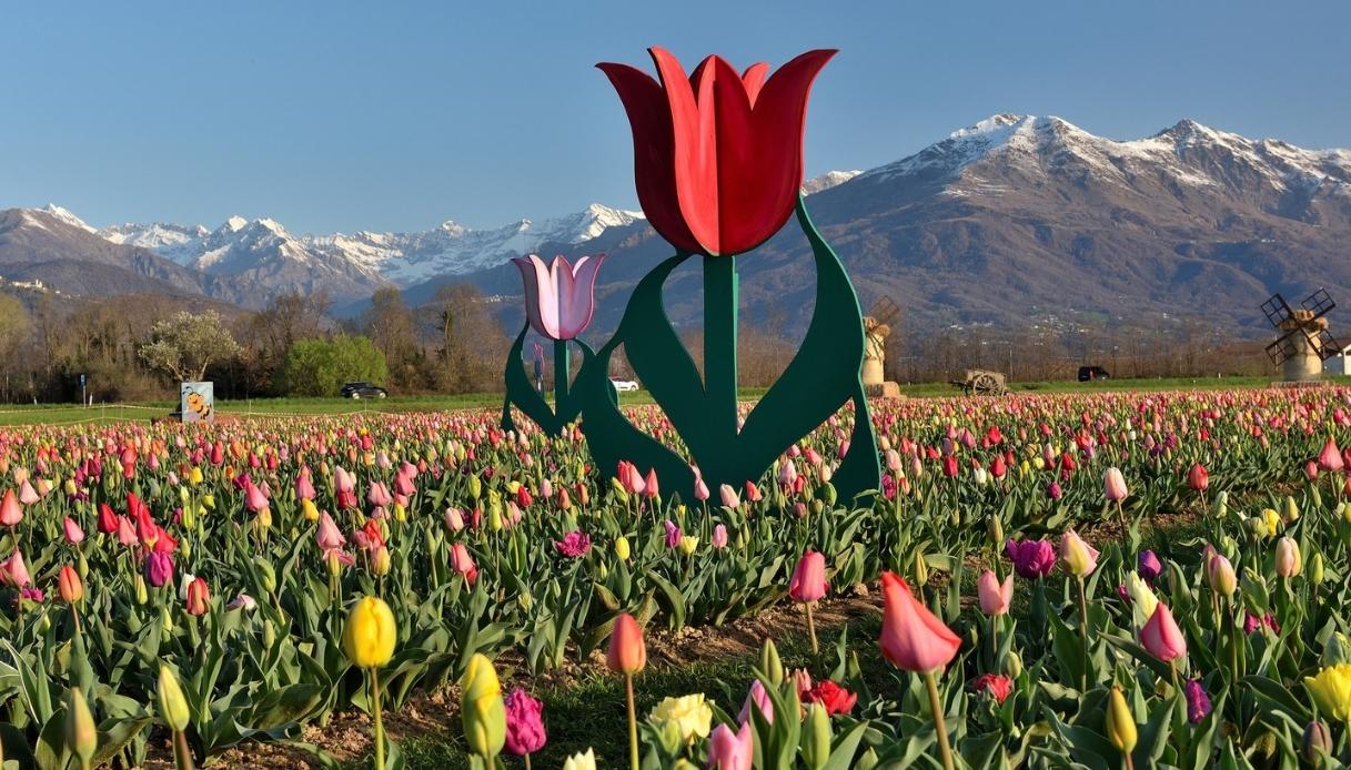 Il Villaggio dei Tulipani in Piemonte