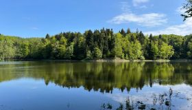 Nasce un nuovo parco naturale in Europa tra foreste e leggende