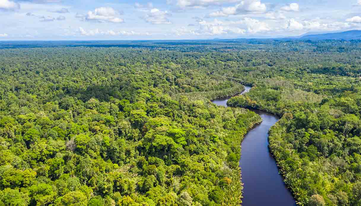 borneo-malese-fiume