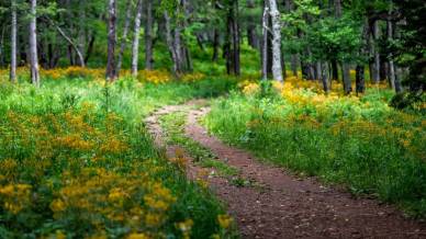 Trekking di primavera, cinque escursioni facili da fare in mezza giornata