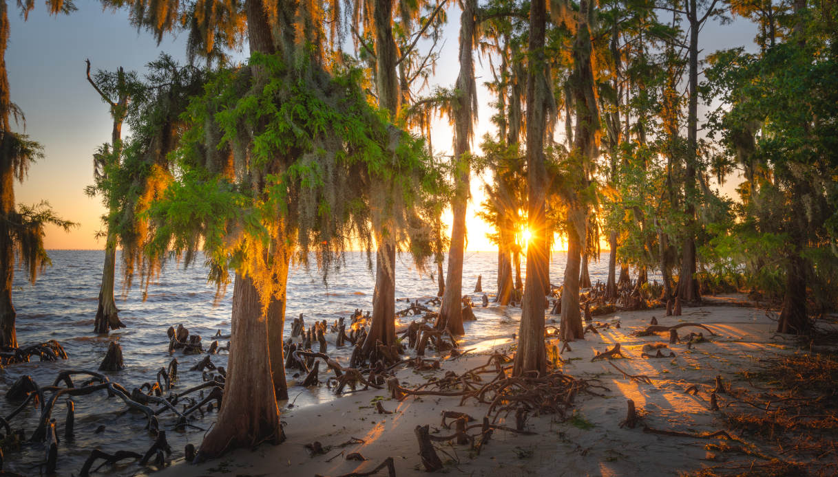 Fontainebleau Statepark
