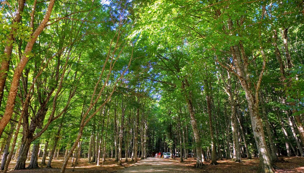 riserva naturali italia primavera gargano