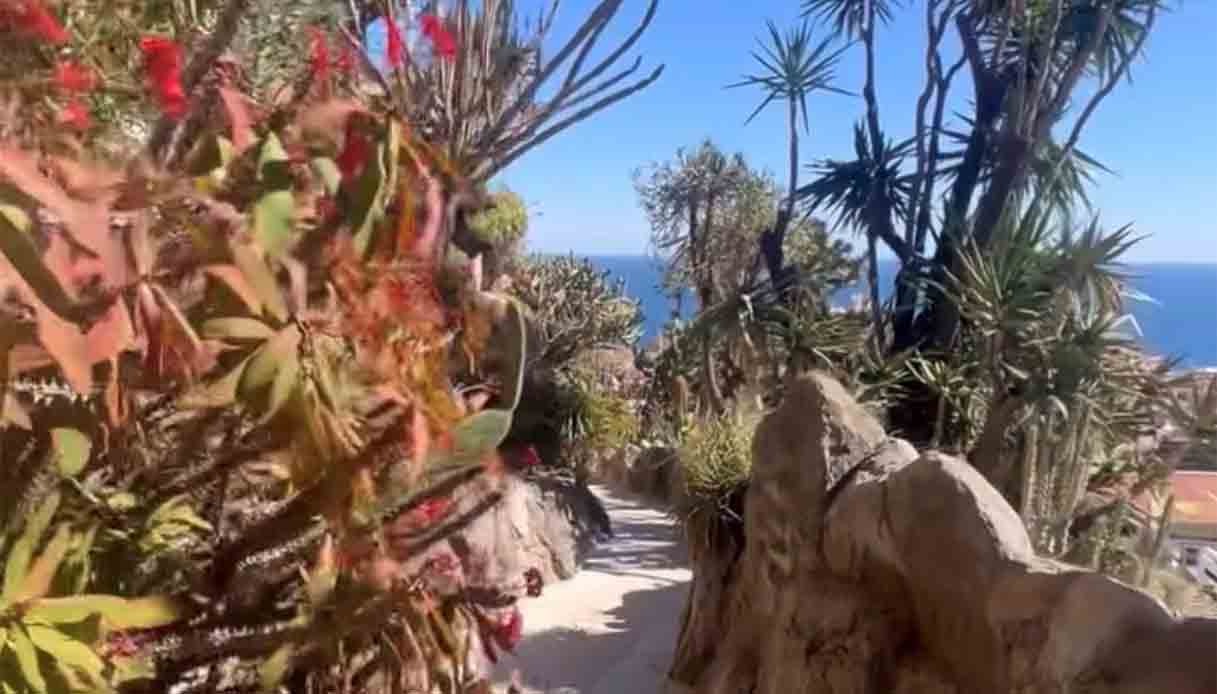 jardin-exotique-principato-Monaco