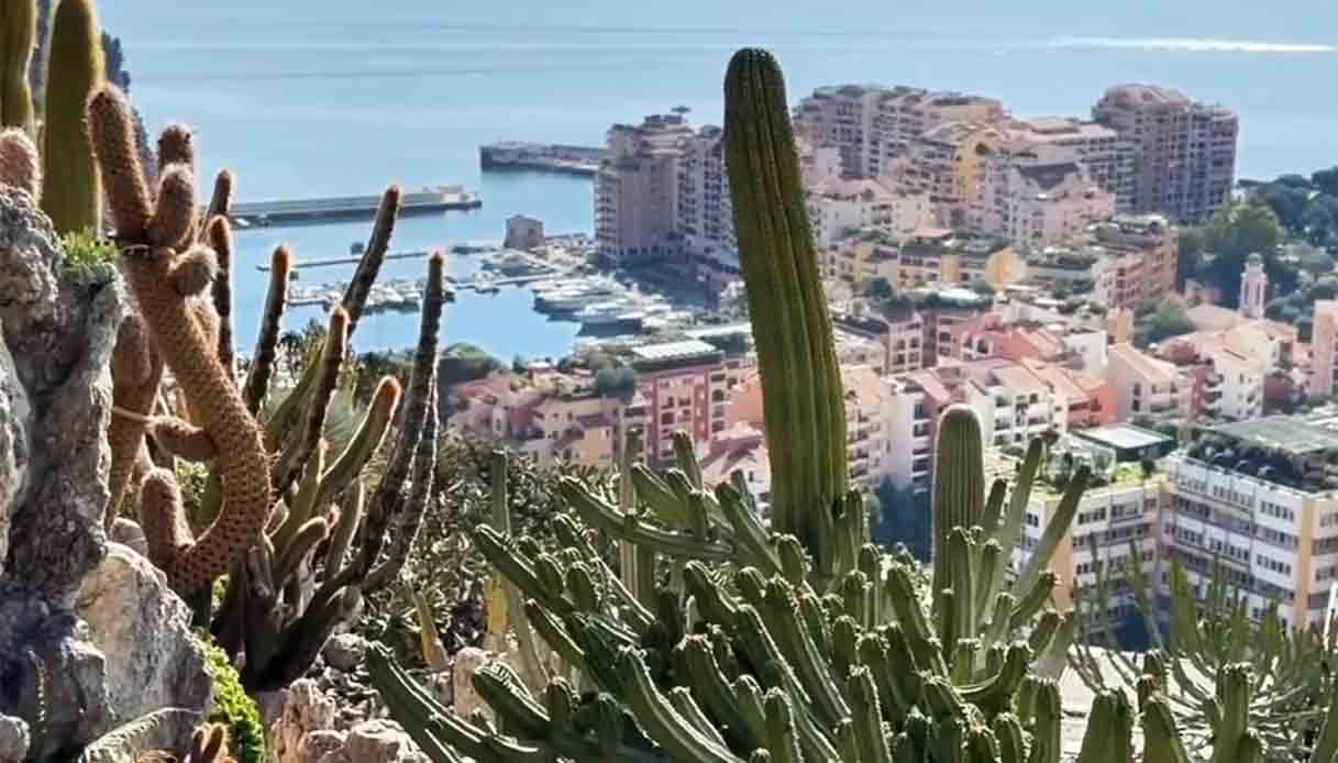 jardin-exotique-principato-Monaco-fontvieille