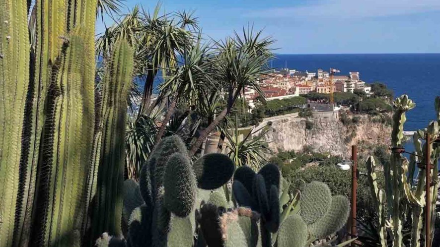 Riapre dopo sei anni di lavori il Jardin Exotique del Principato di Monaco
