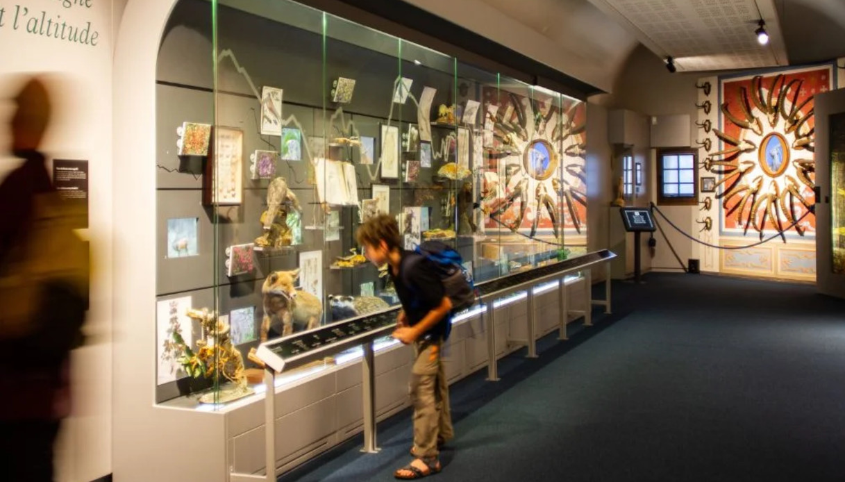 Museo delle Alpi