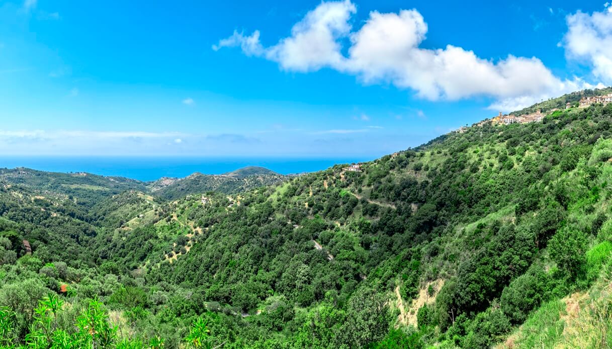 riserva naturali italia primavera cilento