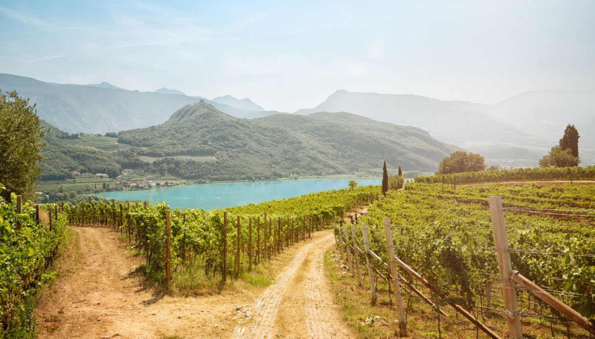 Lago di Caldaro e vigneti dell'Alto Adige