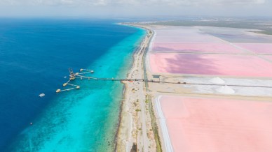 Bonaire, l’isola dei Caraibi a forma di boomerang tra saline rosa, vento costante e silenzi antichi