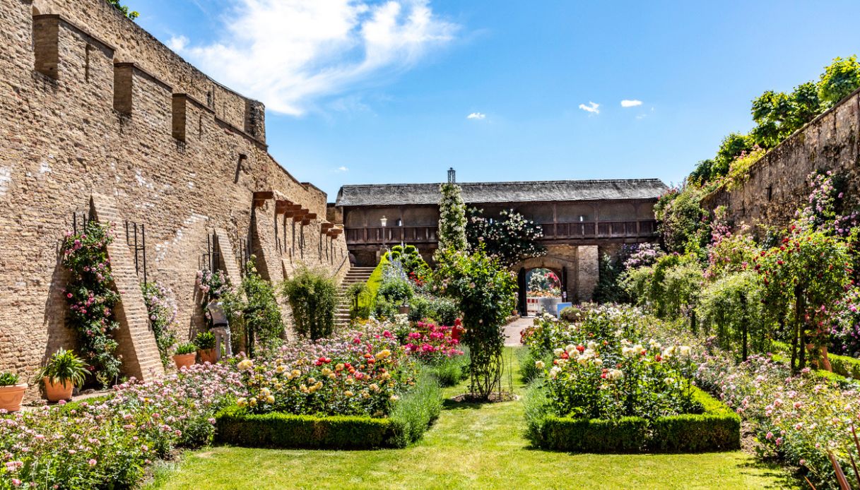 Giardino panoramico nel vecchio castello di Eltville am Rhein, Germania