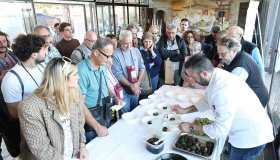 Dall’asparago al gelato, dal torcetto al vino, le sagre del weekend del 18 e 19 aprile 2026