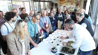 Dall’asparago al gelato, dal torcetto al vino, le sagre del weekend del 18 e 19 aprile 2026
