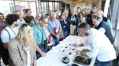 Dall’asparago al gelato, dal torcetto al vino, le sagre del weekend del 18 e 19 aprile 2026