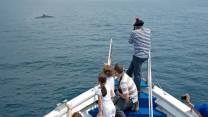 Ponte del 1° maggio in famiglia: dove andare con i bambini in Italia tra eventi, natura e divertimento