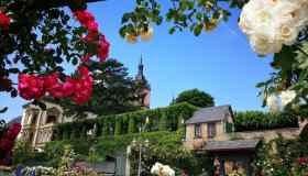 Eltville am Rhein, la città delle rose che sembra uscita da una fiaba