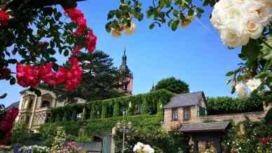 Eltville am Rhein, la città delle rose che sembra uscita da una fiaba