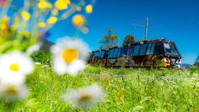 “Arti in viaggio”, il treno spettacolo della Vigezzina-Centovalli che trasforma il 26 aprile in un’esperienza unica