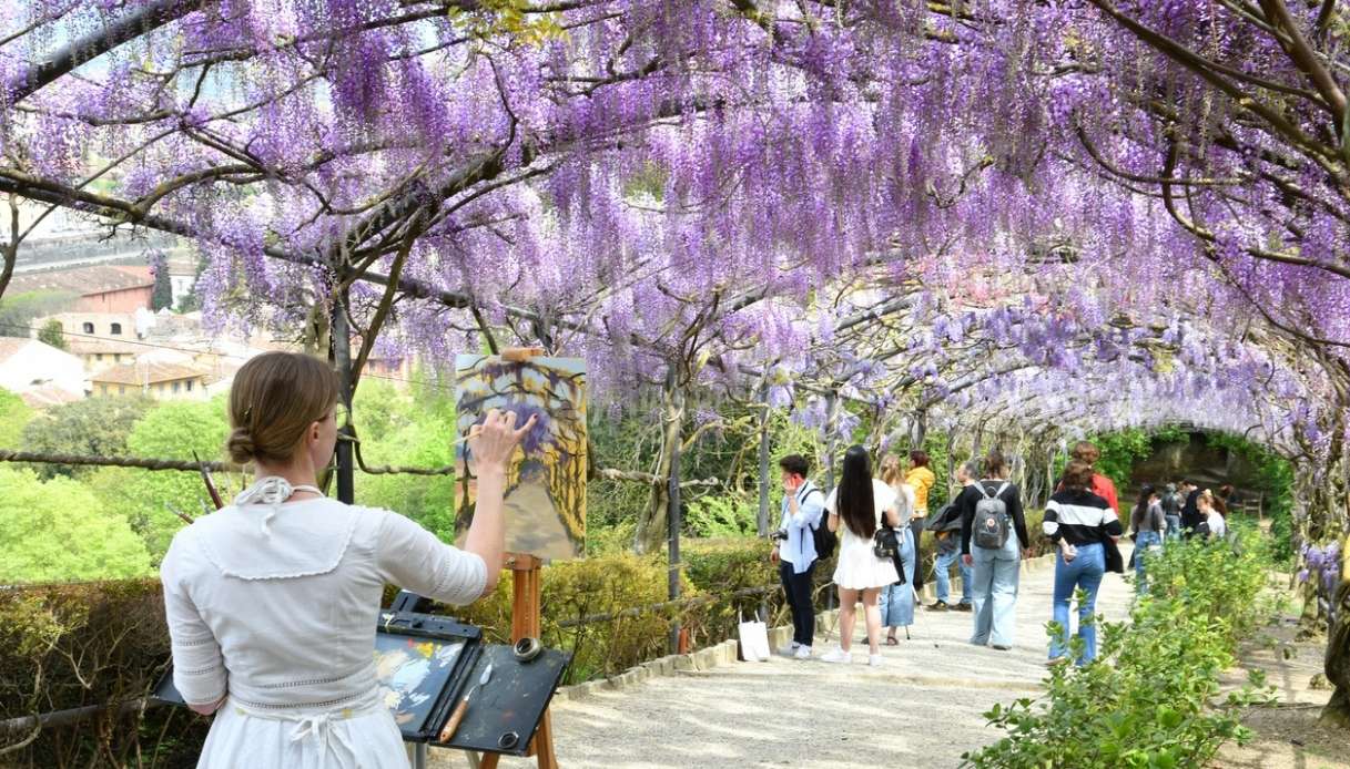 I glicini a Villa Bardini