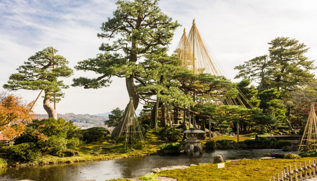 Yukitsuri del Giardino Kenrokuen