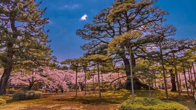 Kenrokuen a Kanazawa: in Giappone, il giardino delle sei sublimità che rasenta la perfezione
