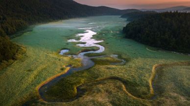 Lago Cerknica, il gigante che appare e scompare nel cuore carsico della Slovenia