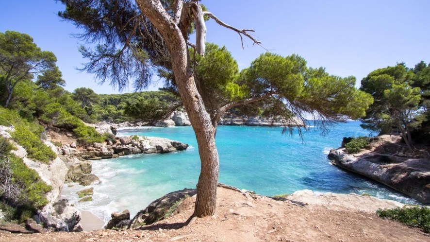 Profumo d’estate a prezzi mai visti, le mete top nella nuova promozione Vueling