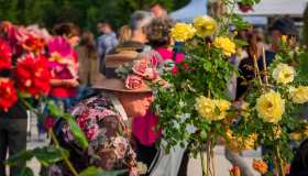 Fiori in festa: dai parchi ai giardini, gli eventi dove ammirare le più belle fioriture di primavera