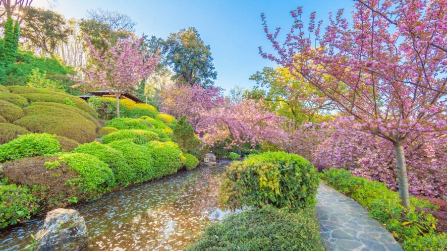 L’Orto Botanico di Roma sulle pendici del Gianicolo: tra palme rare, fontane barocche e viali affascinanti