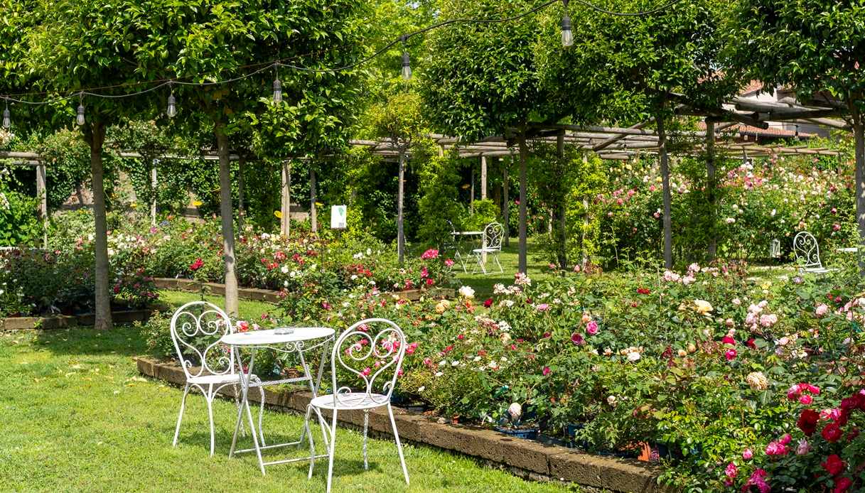 Il roseto del Castello Quistini, in Franciacorta